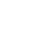 p-icon