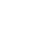 p-icon