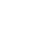 p-icon