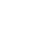p-icon