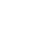 p-icon