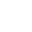 p-icon