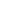 p-icon