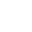 p-icon